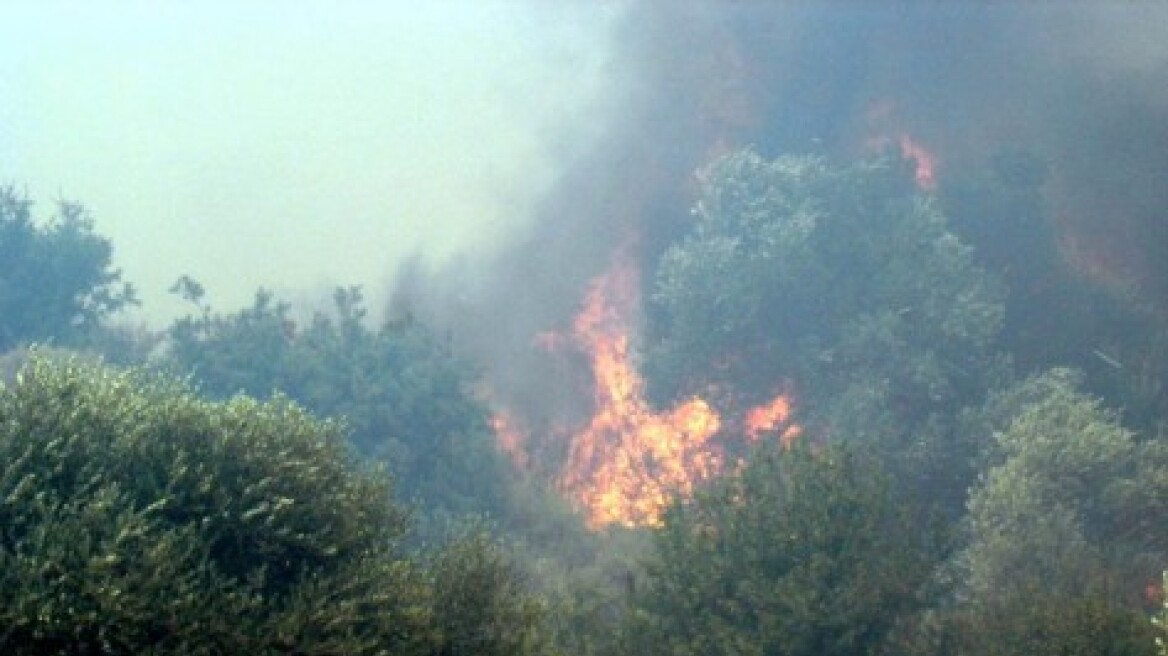 Κρήτη: Πυρκαγιά σε ορεινή περιοχή του Χάρακα